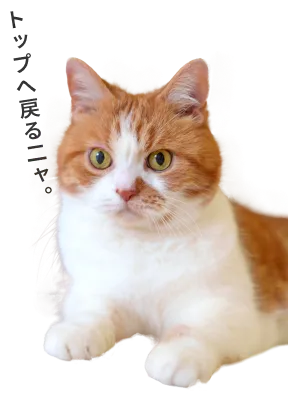 出張買取「大中小」オーナー　北河 修一